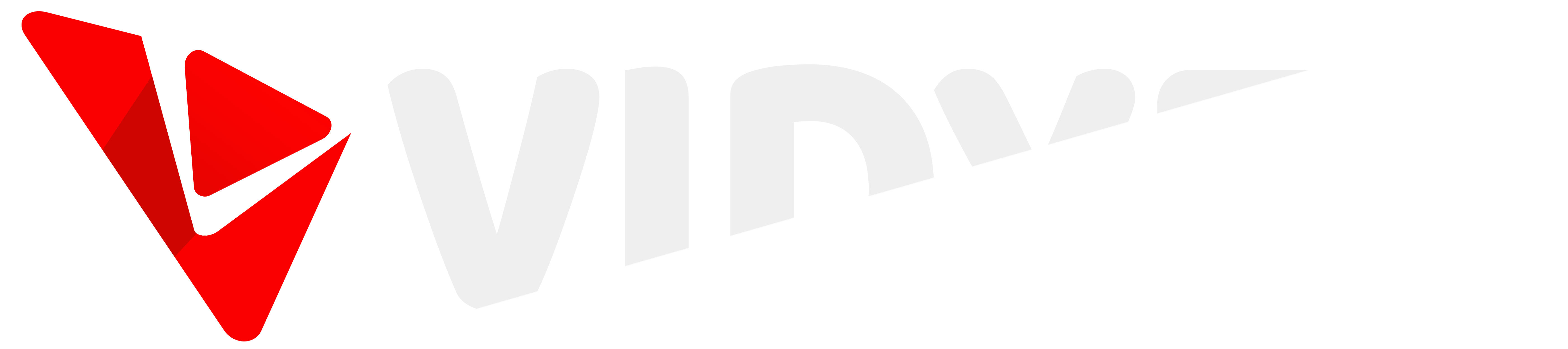 Vidyfy Logo